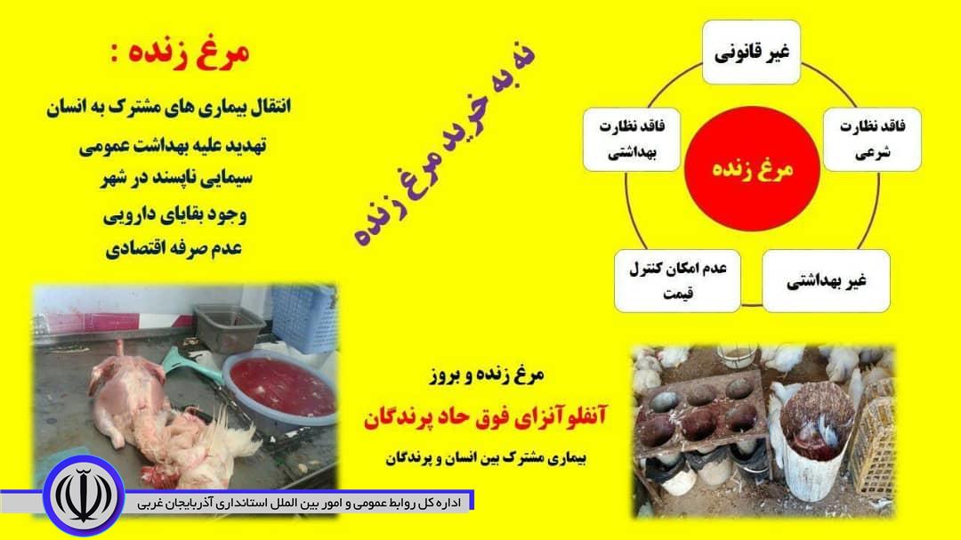 پیشگیری از مصرف مرغ زنده