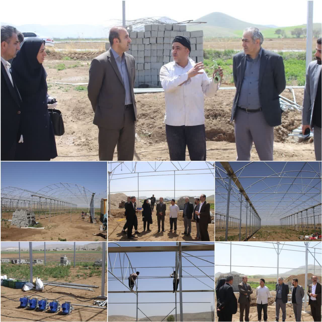 بازدید از روند احداث گلخانه هیدروپونیک صیفی جات در روستای سریل آباد