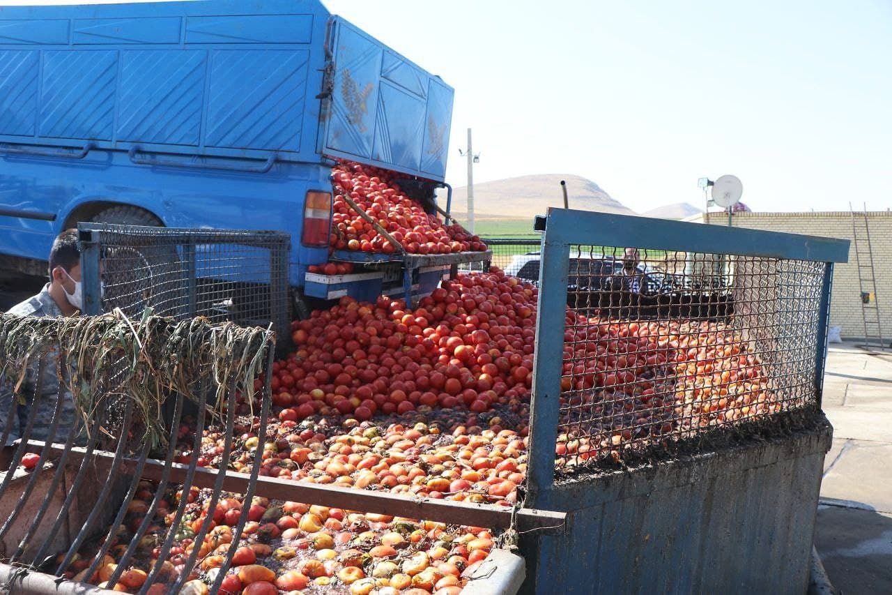 کارخانه تولید رب گوجهفرنگی و کنستانتره سیب در بوکان به بهرهبرداری رسید