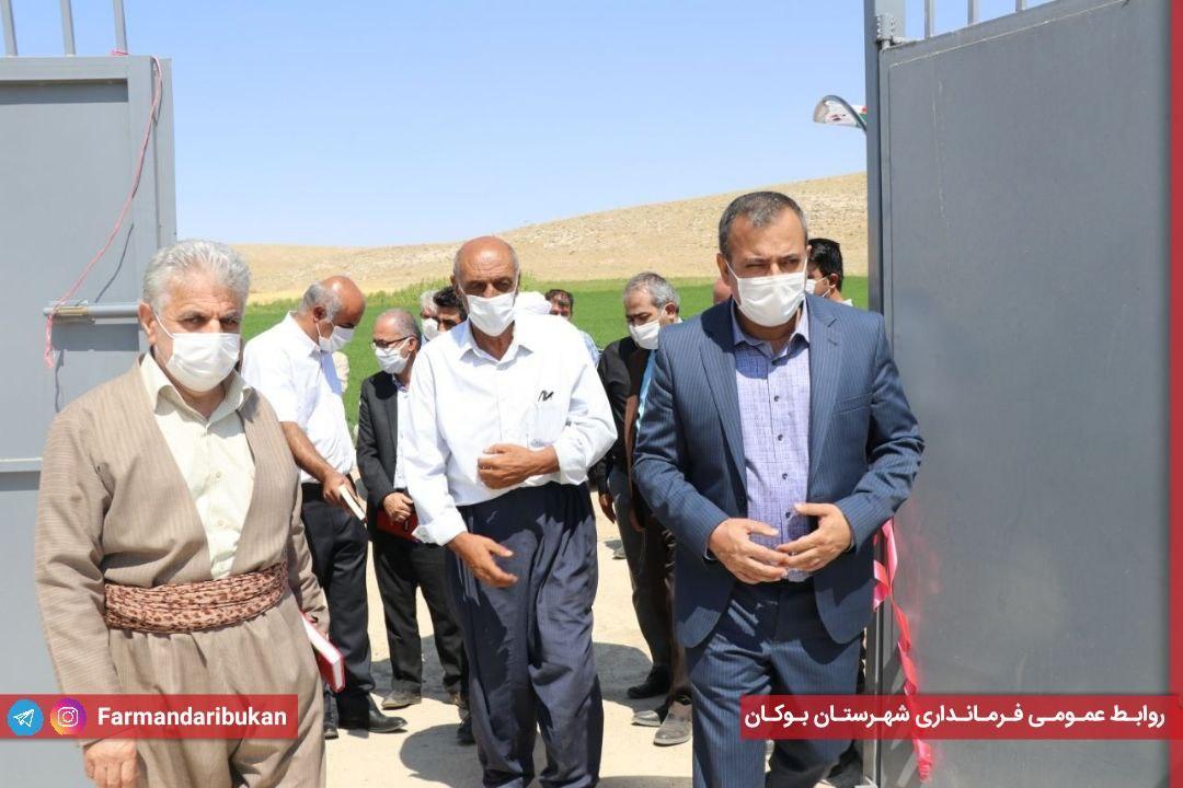 افتتاح یک واحد پرورش گوسفند داشتی و مرکز اصلاح نژاد دام در روستای حمامیان