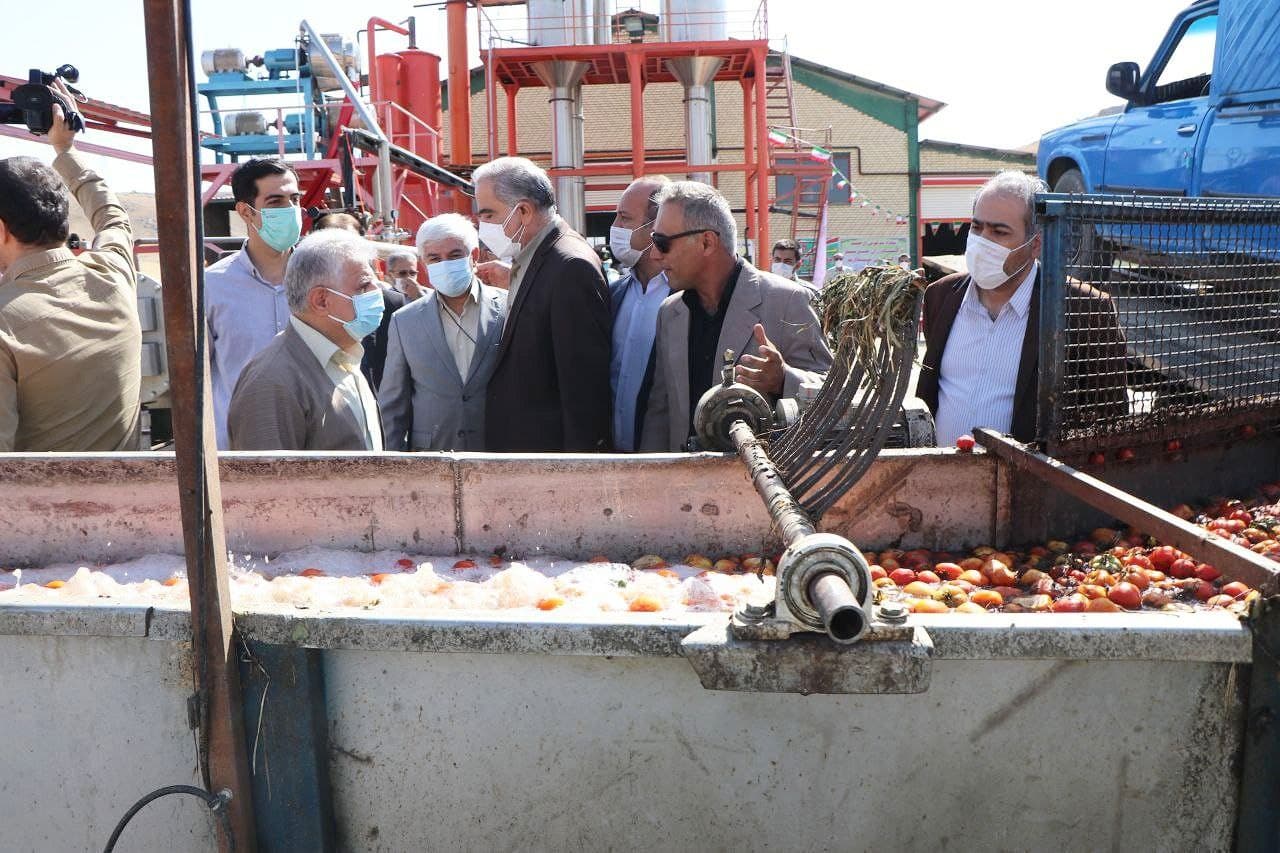 کارخانه تولید رب گوجهفرنگی و کنستانتره سیب در بوکان به بهرهبرداری رسید
