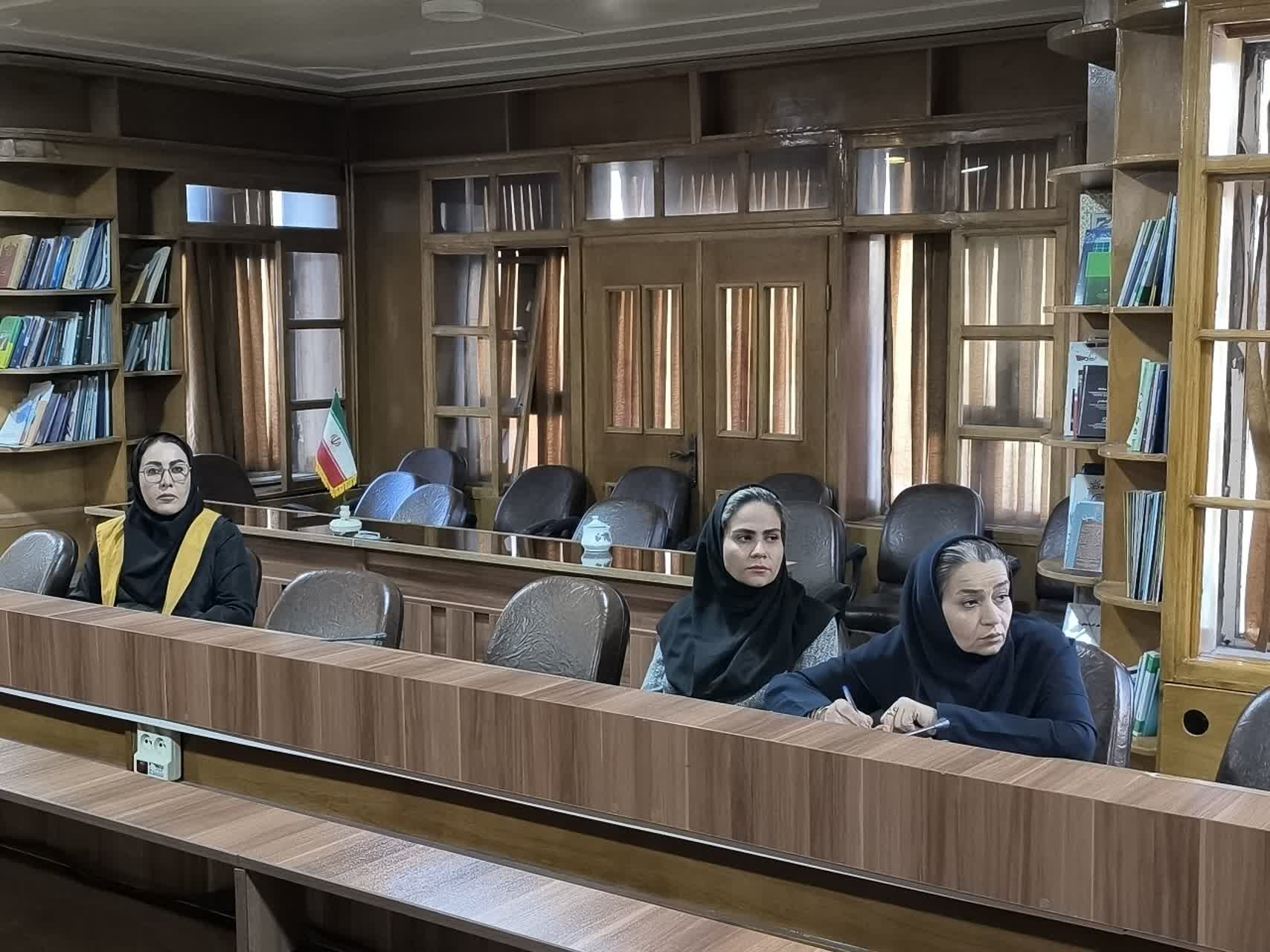 💢آموزش ویژه بازرسان و ناظران دستگاههای اجرایی در شهرستان بوکان برگزار شد