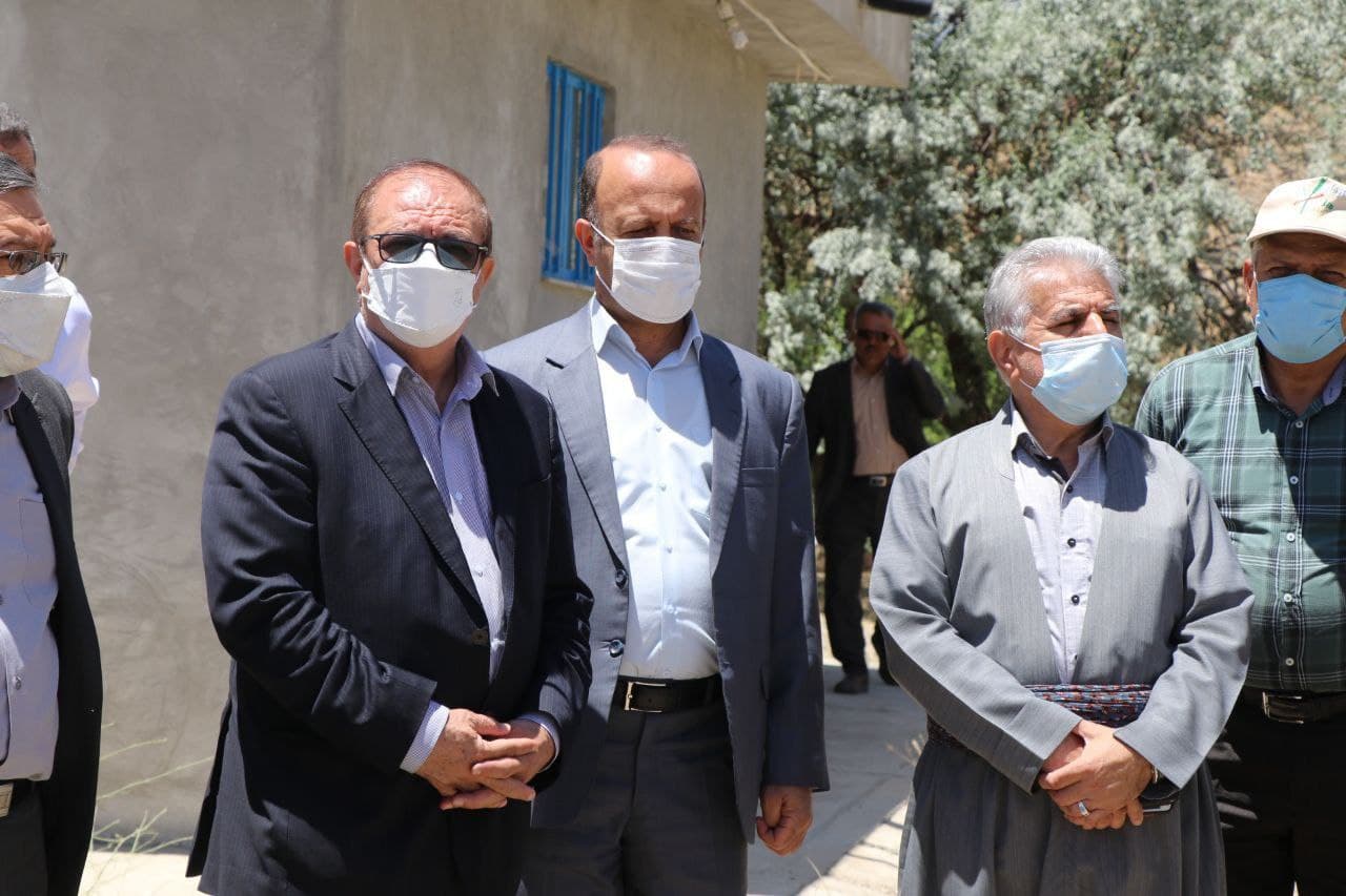بازدید