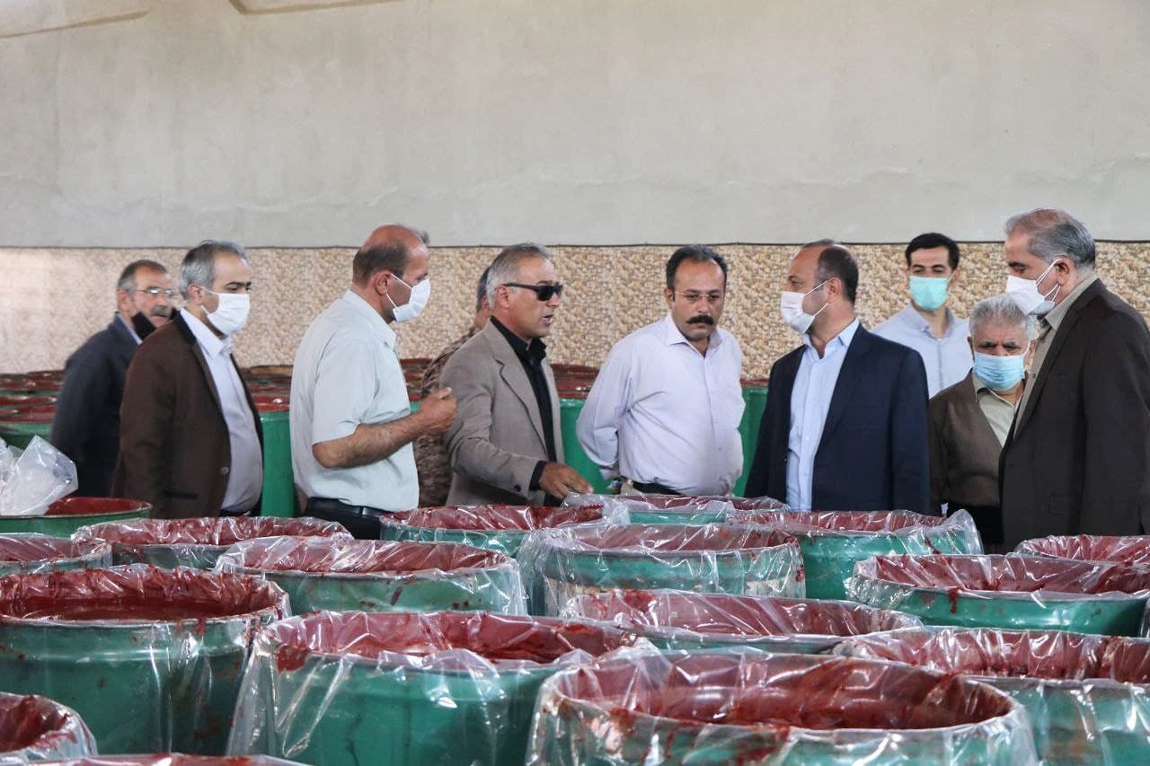 کارخانه تولید رب گوجهفرنگی و کنستانتره سیب در بوکان به بهرهبرداری رسید