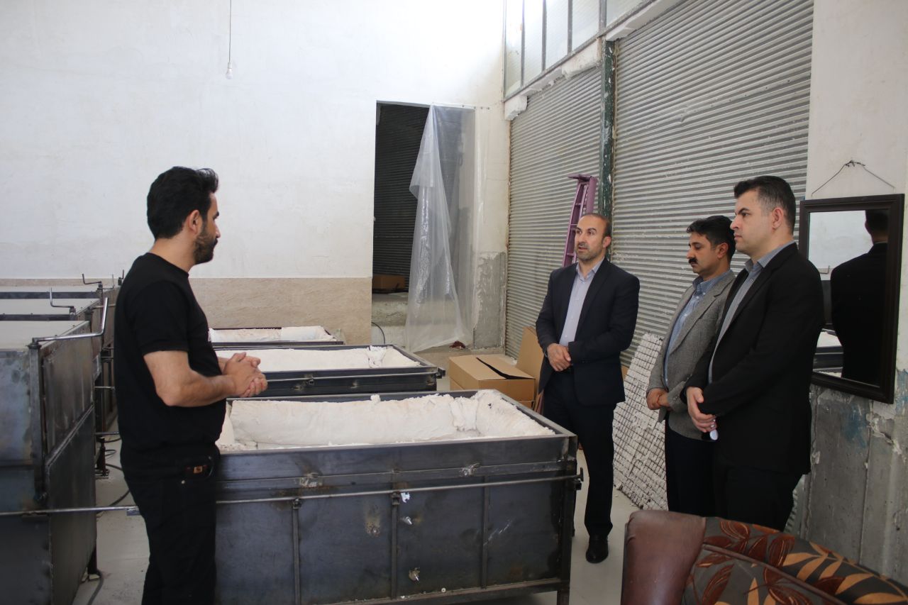 بازدید فرماندار بوکان از طرحهای اشتغال زایی