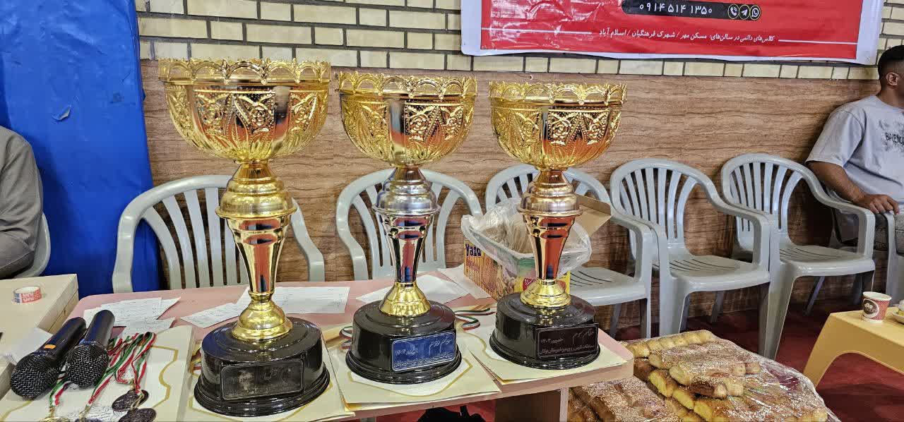 💢برگزاری مسابقات تنیس روی میز به مناسبت هفته تعاون در بوکان