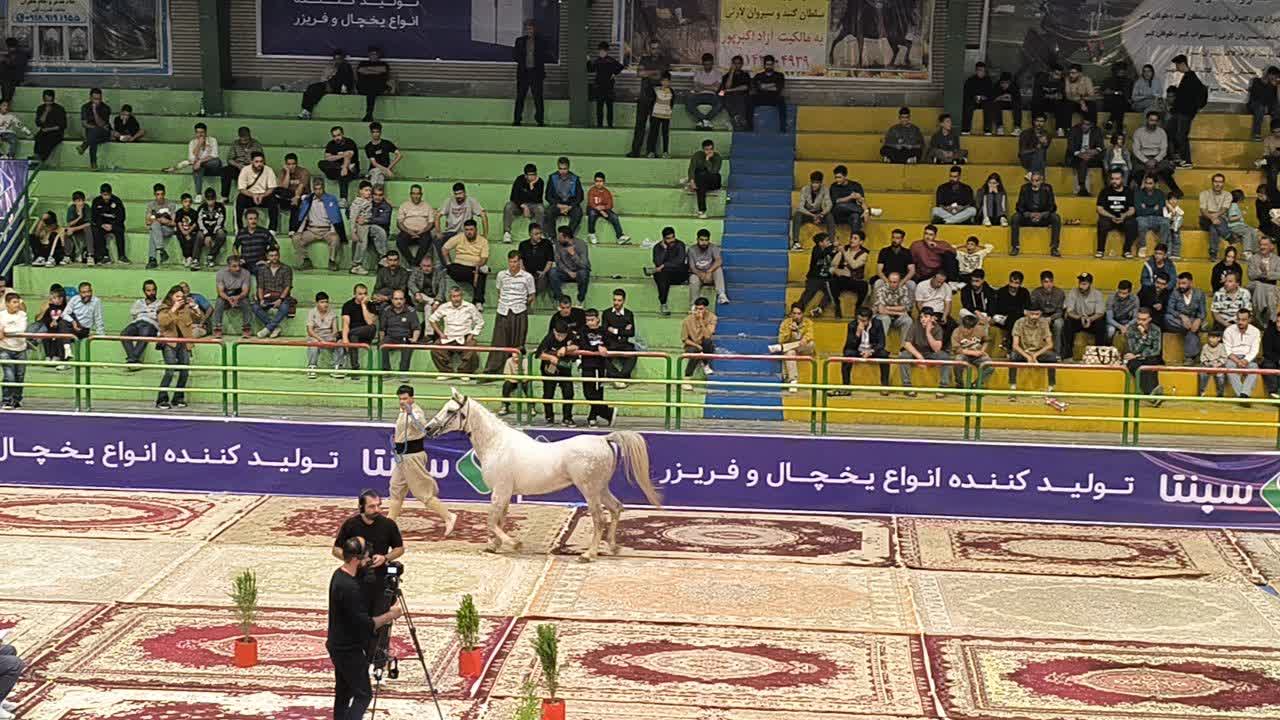 💢برگزاری پنجمین دوره همایش اسب اصیل کورد با حضور مسئولان شهرستان بوکان