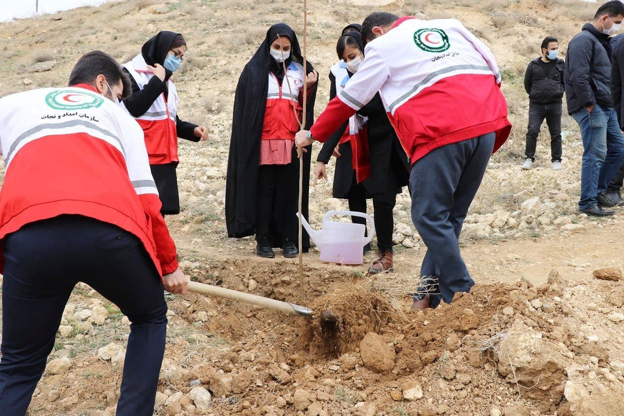 کاشت ۴۲ نهال بصورت نمادین با حضور «امینزاده» فرماندار بوکان و جمعی از مسئولین شهرستان در محل کوه بهرده گەلاله (پشت آتشنشانی امیرآباد)